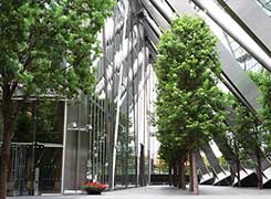 Commercial Gas Detection