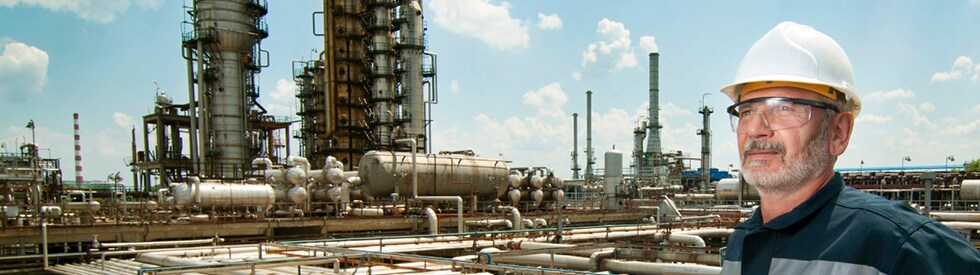 Industrial Flame and Gas Systems - Honeywell Analytics